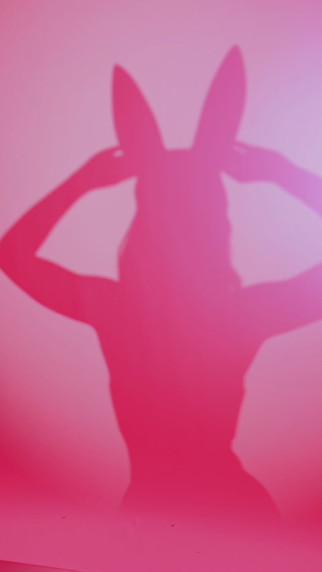 Kit Bunny – Set Corsetto 4 Pezzi in Pizzo Nero e Profili Fucsia Fluo